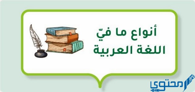 انواع ما في اللغة العربية - موقع محتوى