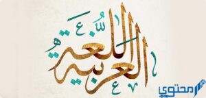 سيئ او سيء أيهما أصح في الكتابة ؟ - موقع محتوى