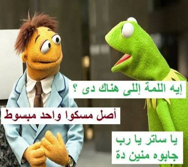 نكت الضفدع الأخضر كرميت 2022 موقع محتوى