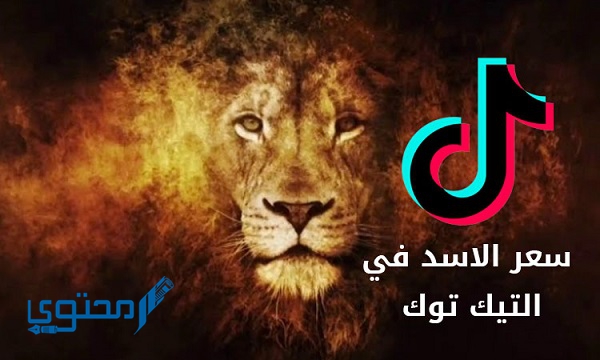 كم سعر الأسد في التيك توك؟