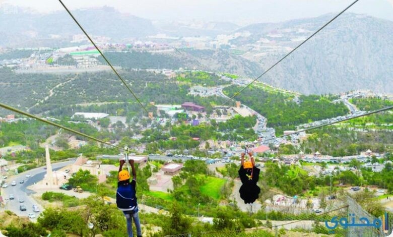 صور خلابة من غابة رغدان في المملكة