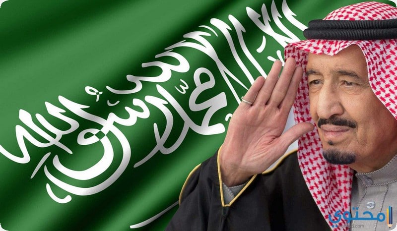 إنجازات الملك سلمان