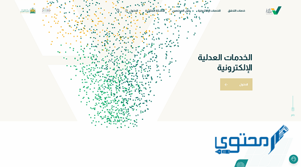 كم يستغرق رفع إيقاف نظام الخدمات