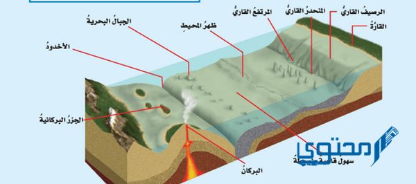 حل سؤال ما السهول القاعية المنبسطة