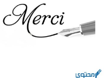 الرد على كلمة ميرسي merci