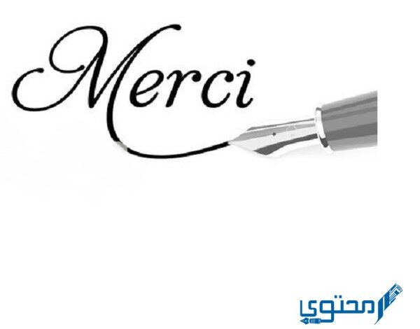 الرد على كلمة ميرسي merci بلغات عديدة