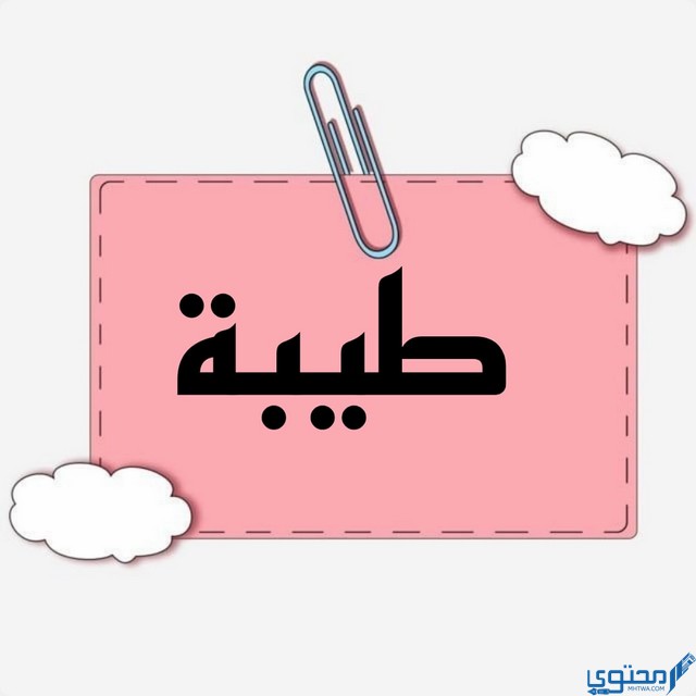 معنى اسم طيبة