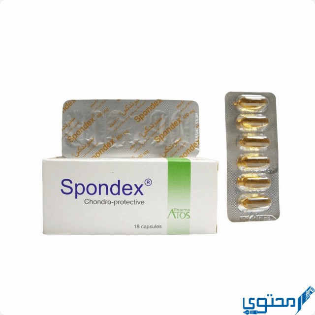 سبونديكس