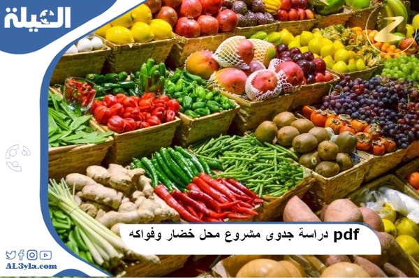 دراسة جدوى مشروع محل خضار وفواكه pdf