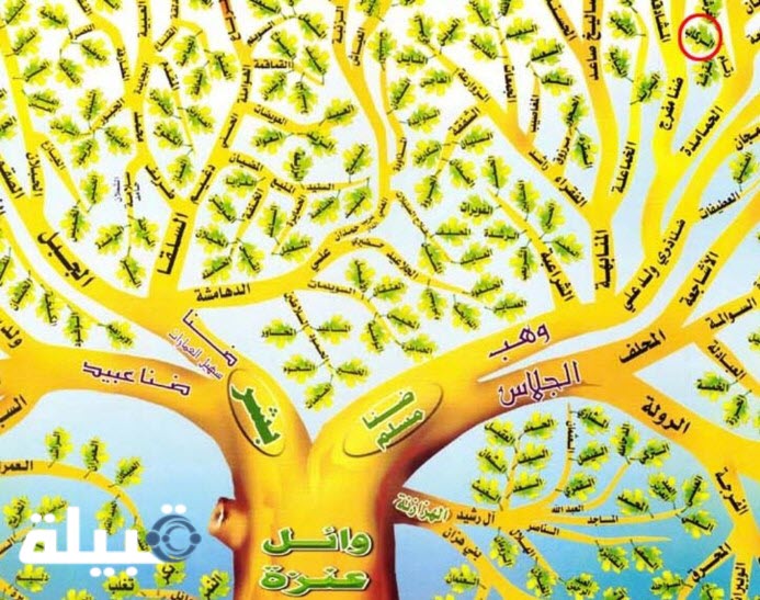 أكبر قبيلة في السعودية من حيث العدد