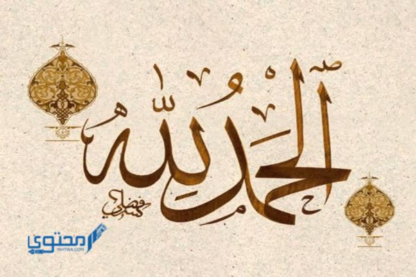 تفسير رؤية قول الحمد لله في المنام لابن سيرين