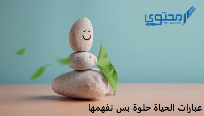 عبارات الحياة حلوة بس نفهمها