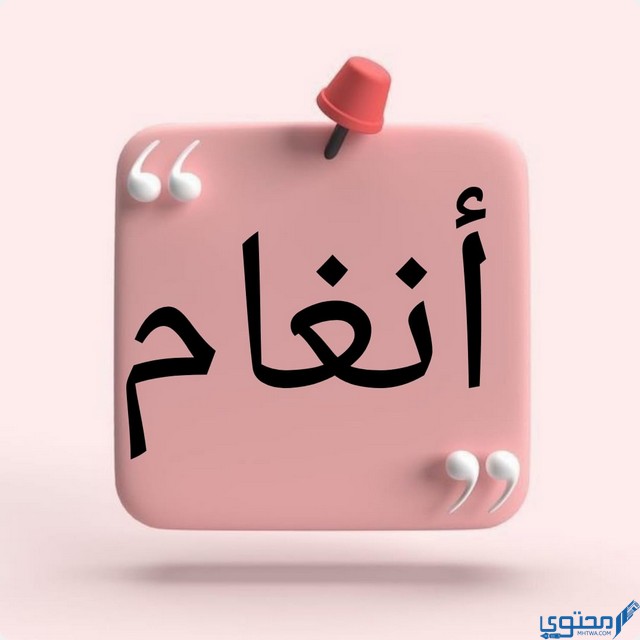 معنى اسم أنغام