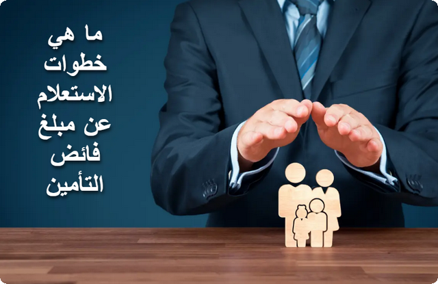 الاستعلام عن مبلغ فائض التأمين