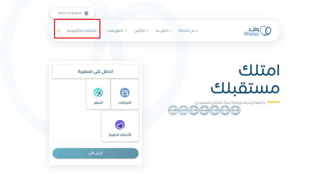 الاستعلام عن مبلغ فائض التأمين