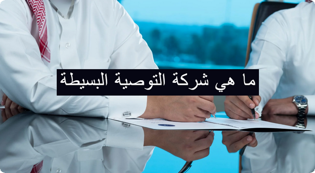 تعريف شركة التوصية البسيطة وأهم خصائصها