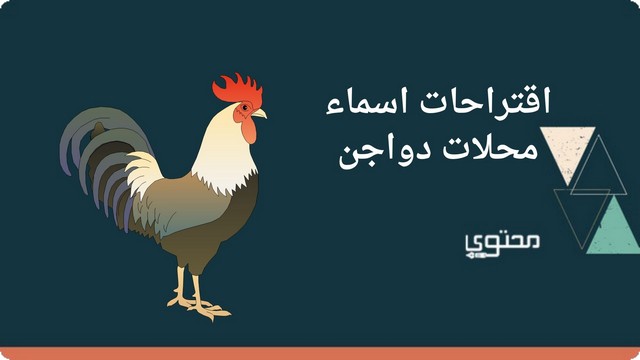 اقتراح 65 من اسماء محلات دواجن كريتيف 2025