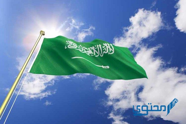 مؤسس الدولة السعودية الأولى هو الإمام محمد بن سعود مؤسس الدولة السعودية الأولى هو الإمام محمد بن سعود