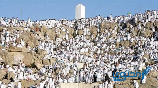 جدول يوم عرفة كامل للعبادات جاهز للتحميل