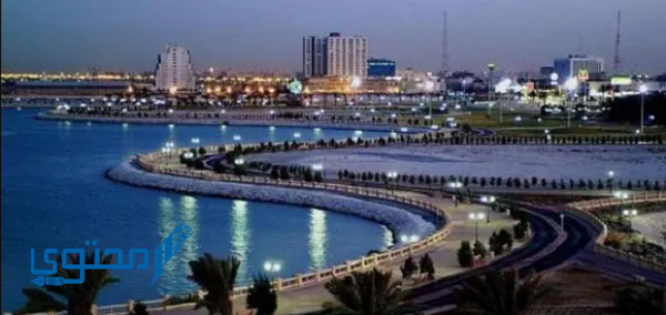 هل تقع مدينة نيوم المستقبلية شرق المملكة العربية السعودية؟ - موقع محتوى