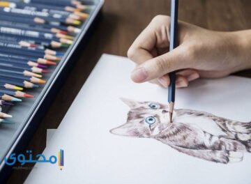 تعلم الرسم من الصفر للمبتدئين