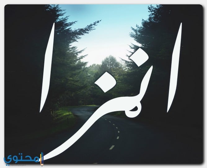 اسم انزا