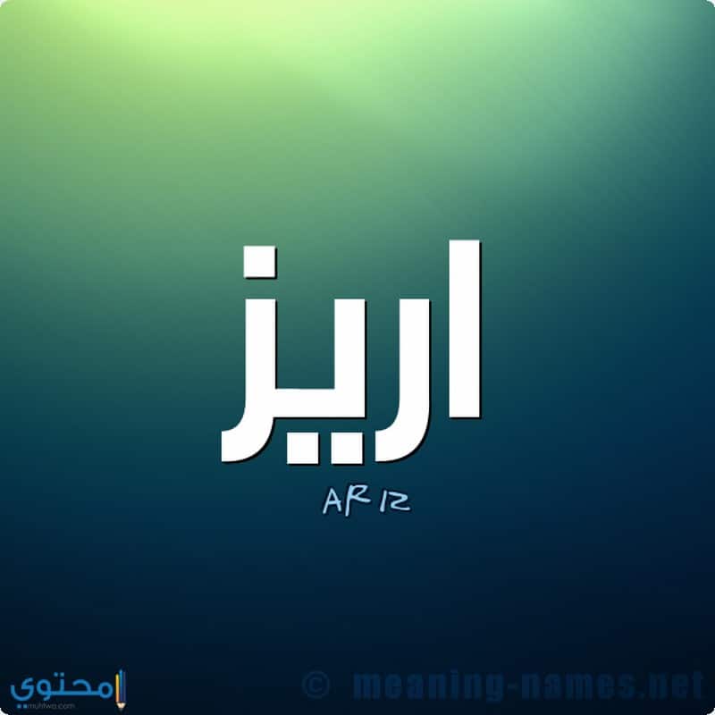 معنى اسم Ariz