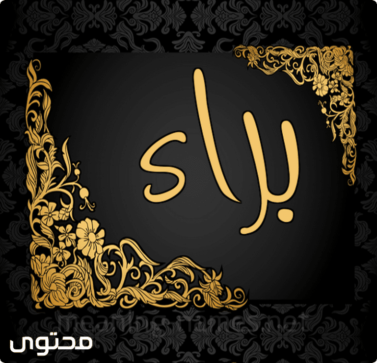 معنى اسم براء (Bara) في المعجم وموضع ذكره في القرآن - موقع محتوى