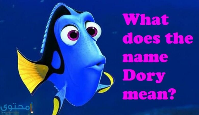 معنى اسم دوري وحكم التسمية Dory