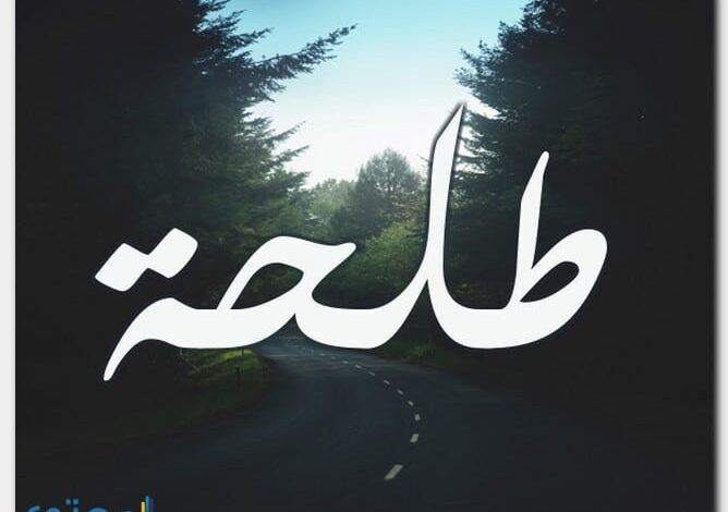 معنى اسم طلحة (Talha) وصفاته