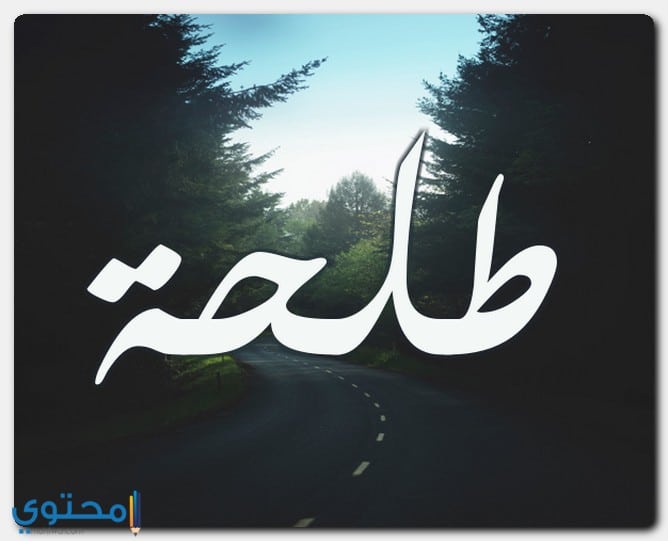 اسم طلحة