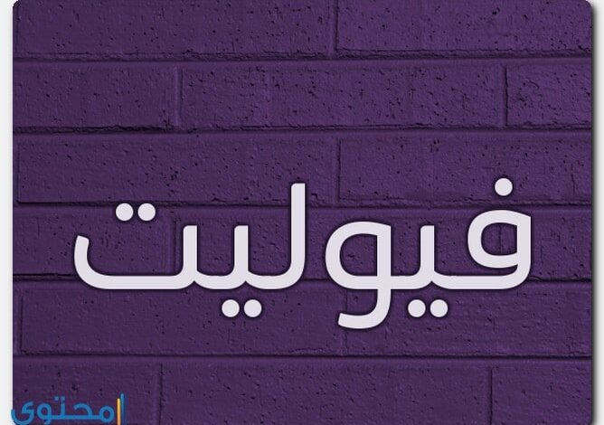 معنى اسم فيوليت وصفات حامل الاسم (Violet)