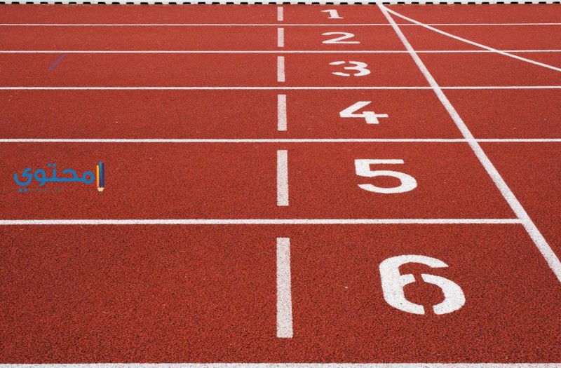 الأرقام من 0 لـ 10 في المنام