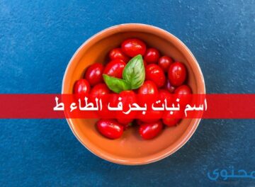 نبات بحرف الطاء