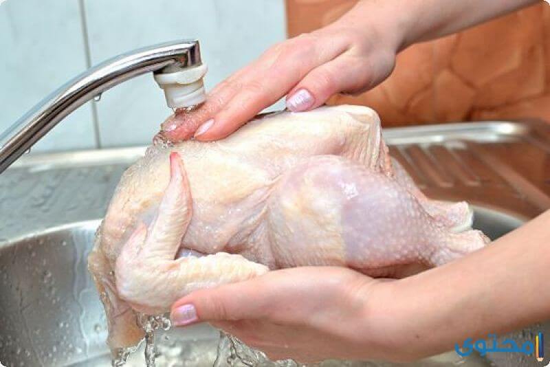 تنظيف الدجاج