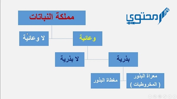 ( اي المخلوقات الحية تصنف مخلوقا حيا متعدد الخلايا ولا يصنع غذاؤه بنفسه )