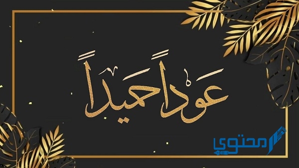 عبارات وصورة مكتوب عليها عودًا حميدًا زاد شوقي لرؤيتكم