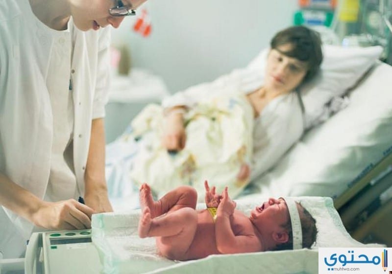 مراحل الولادة