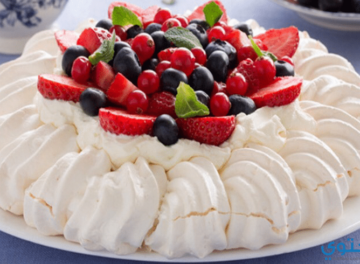 pavlova1