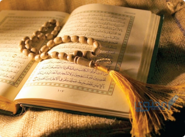 آيات قرآنية عن البشرى للمؤمنين