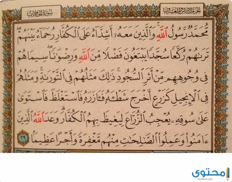 آيات قرآنية عن التواضع