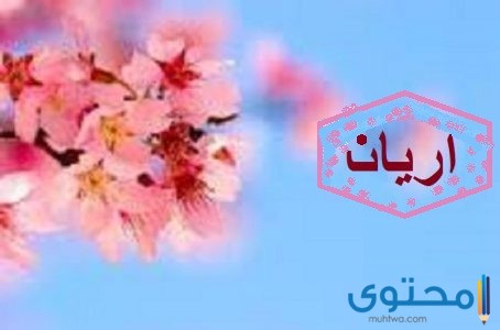 معنى اسم آريان