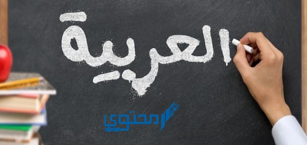 واحدة من المجموعات التالية لا تمثل أنواع المعارف وهي