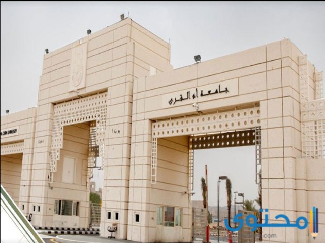 أول جامعة أنشئت في المملكة