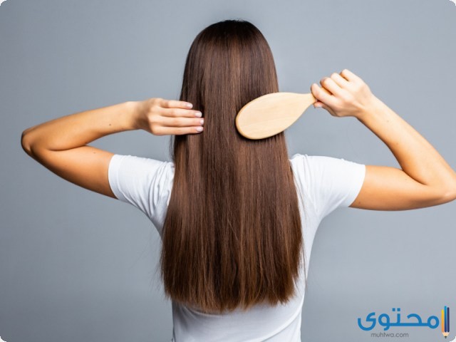 البشرة الدهنية تسبب تساقط الشعر