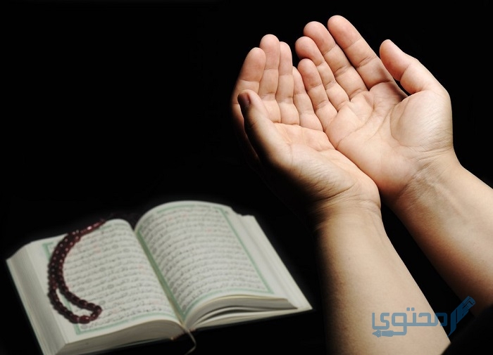 الرد على قواك الله الله يقويك