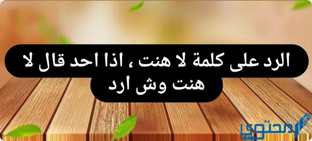 الرد على كلمة لا هنت ، اذا احد قال لا هنت وش ارد