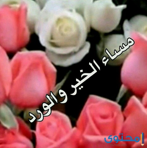 الرد على مساء الخير