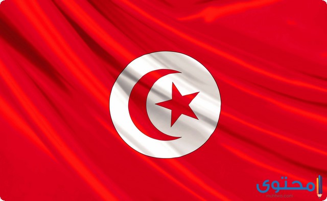 الرقم 216 مفتاح أي دولة