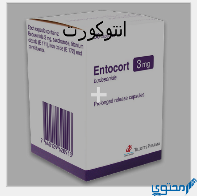 انتوكورت